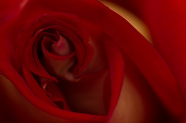 Similar image 21954637