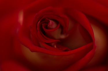 Similar image 21954638