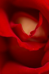 Similar image 21954639