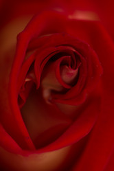 Similar image 21954640