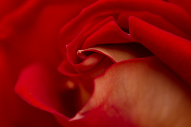 Similar image 21954641