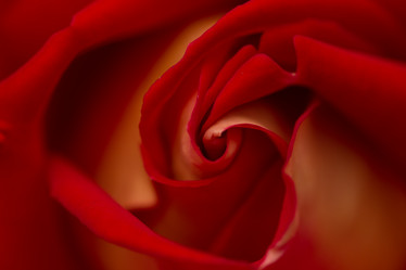 Similar image 21954642