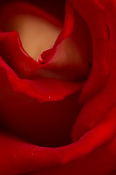 Similar image 21954643