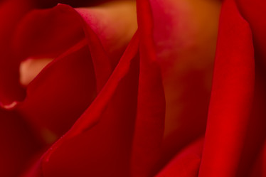 Similar image 21954644