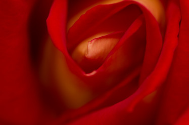 Similar image 21954645