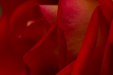 Similar image 21954647