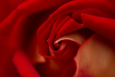 Similar image 21954648