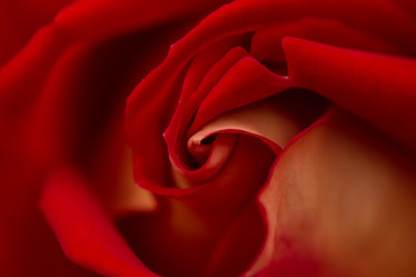 Similar image 21954649