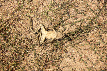 Similar image 21955235