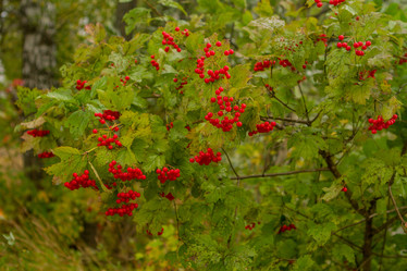 Similar image 21955236