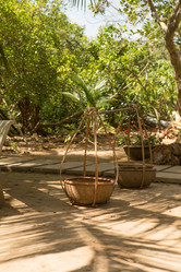 Similar image 21955269