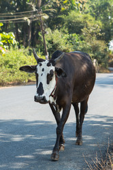 Similar image 21955291