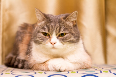 Similar image 21965266