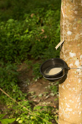 Similar image 21965267