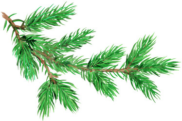 Similar image 21971721