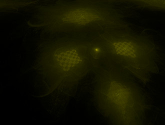 Similar image 21968012