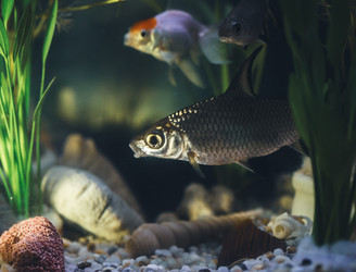 Similar image 21969984