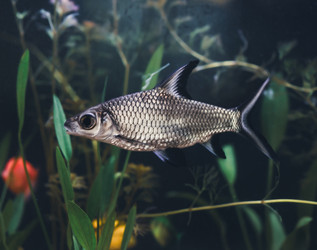 Similar image 21969985