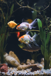 Similar image 21969987