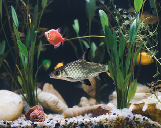 Similar image 21969989