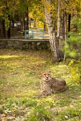 Similar image 21954410