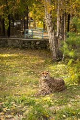 Similar image 21954411