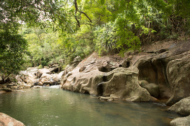 Similar image 21954655