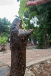 Similar image 21955237