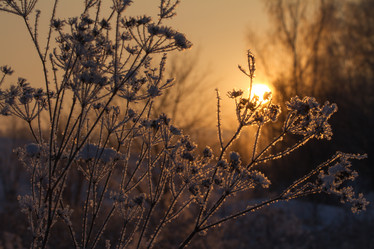 Similar image 21955239