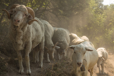 Similar image 21954136