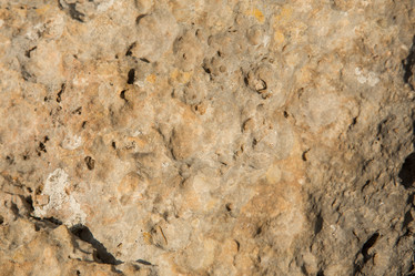 Similar image 21954141