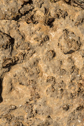 Similar image 21954142