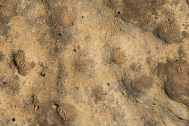 Similar image 21954416