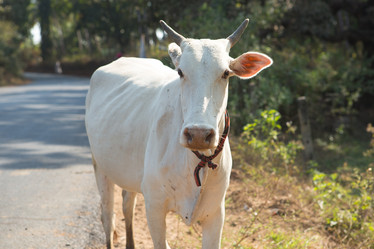 Similar image 21954436