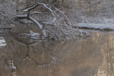 Similar image 21954667