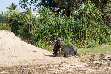 Similar image 21952742