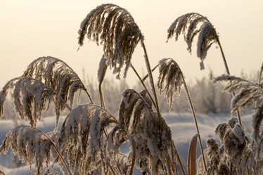 Similar image 21952859