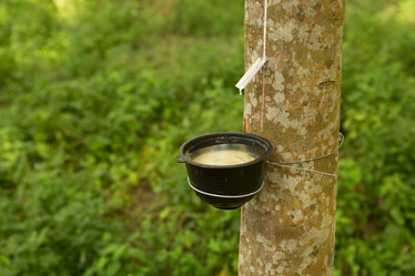 Similar image 21952860