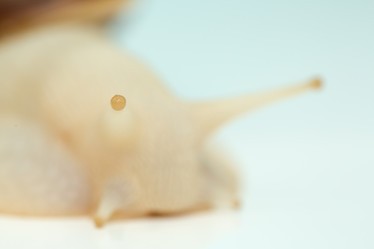 Similar image 21973796