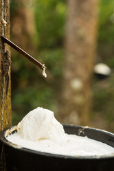 Similar image 21973969