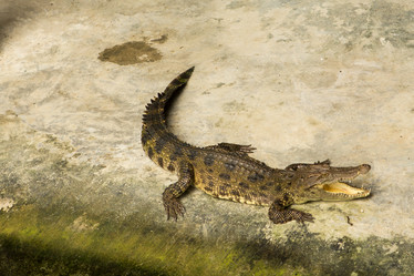 Similar image 21973800