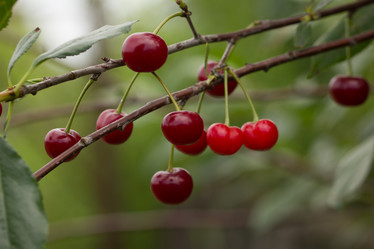 Similar image 21973970