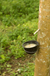 Similar image 21973984