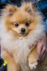 Similar image 21973986