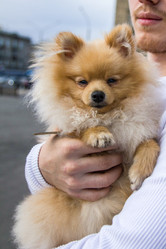 Similar image 21973987