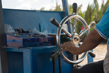 Similar image 21973991