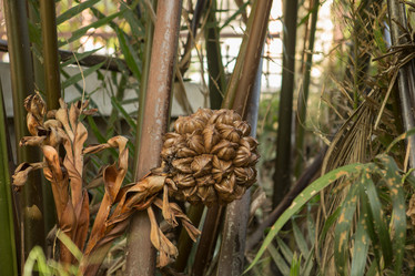 Similar image 21973993