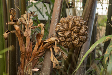 Similar image 21973999