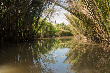 Similar image 21974014