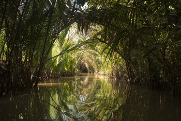 Similar image 21974255